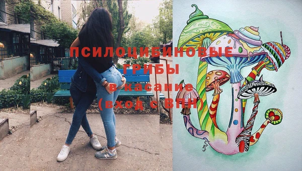 PSILOCYBIN Лагань