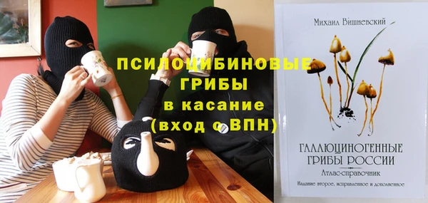 дживик Лихославль