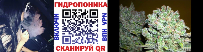 Конопля ГИДРОПОН  blacksprut ONION  Ладушкин 